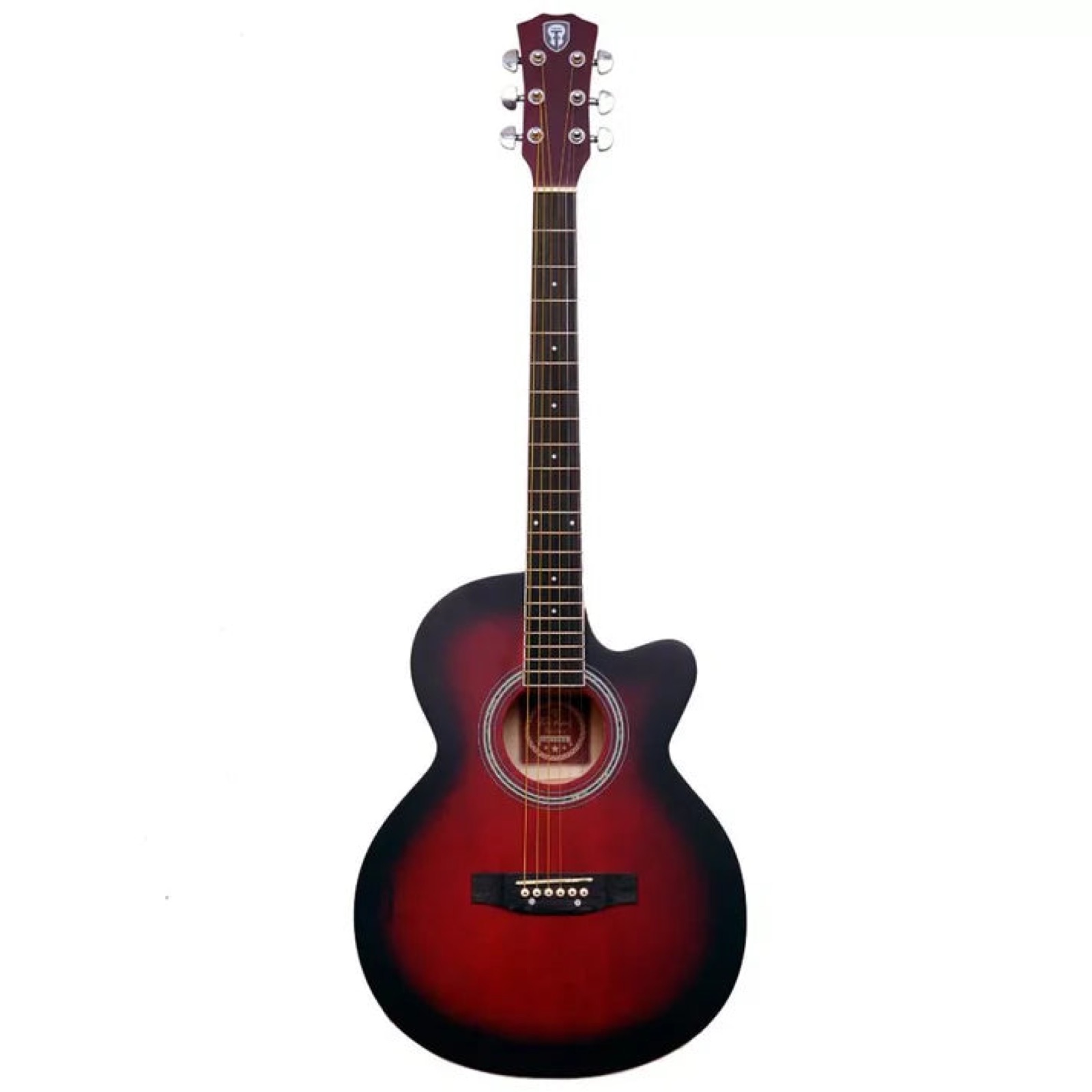 Techno TM39P Acoustic Guitar